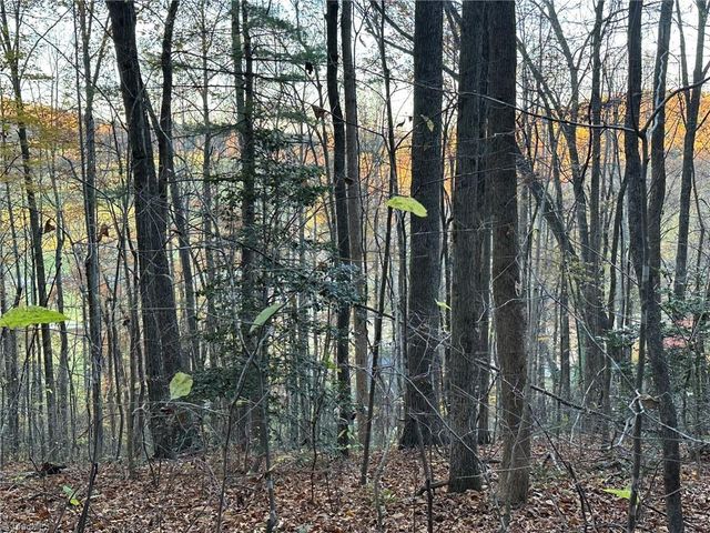 00 Balls Mill Road, North Wilkesboro, NC 28659