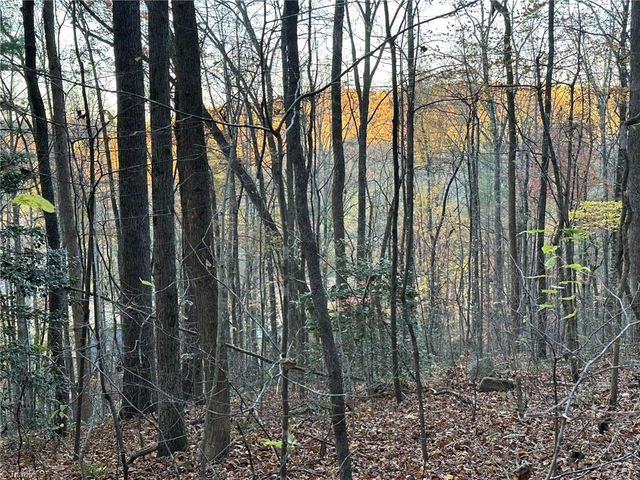 00 Balls Mill Road, North Wilkesboro, NC 28659