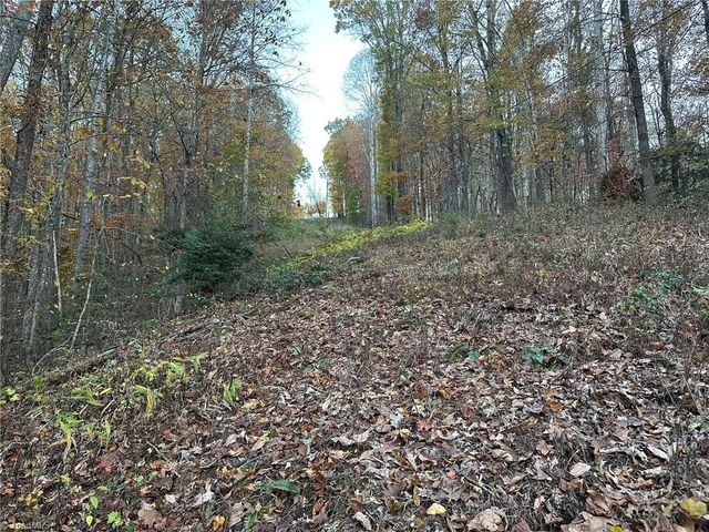 00 Balls Mill Road, North Wilkesboro, NC 28659