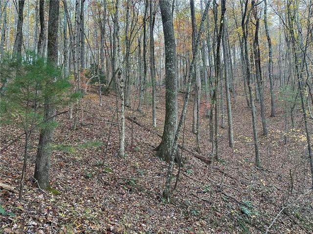 00 Balls Mill Road, North Wilkesboro, NC 28659