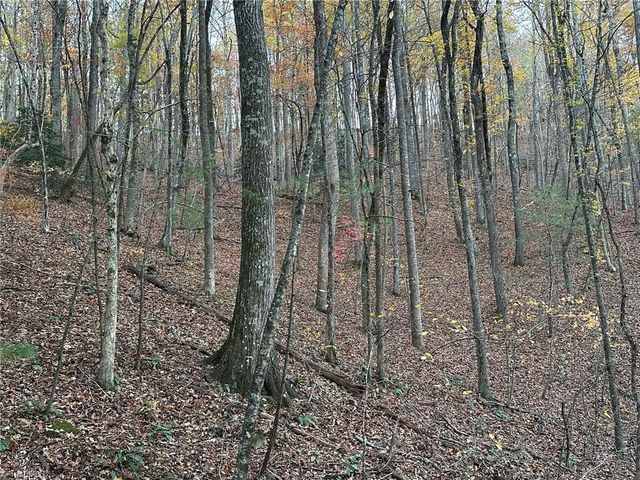 00 Balls Mill Road, North Wilkesboro, NC 28659