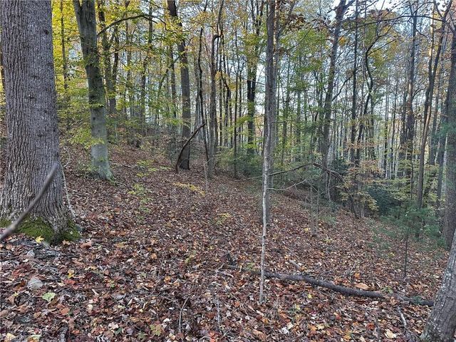 00 Balls Mill Road, North Wilkesboro, NC 28659
