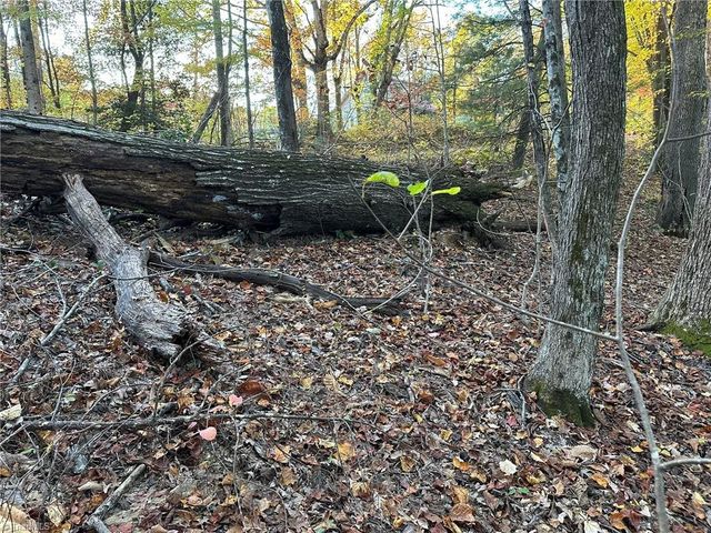 00 Balls Mill Road, North Wilkesboro, NC 28659