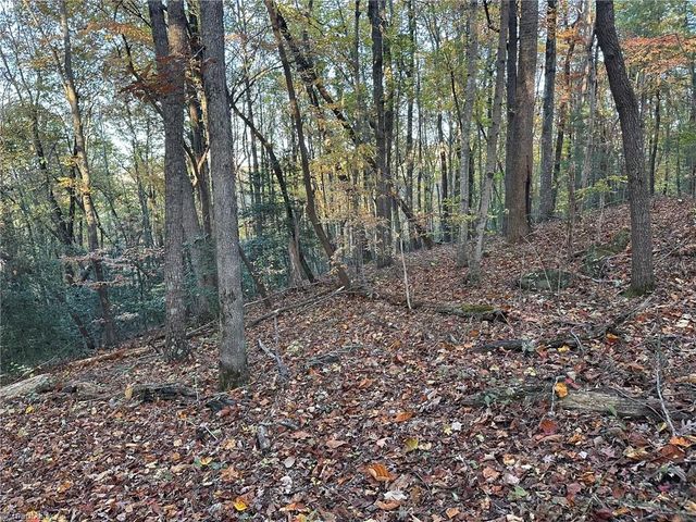 00 Balls Mill Road, North Wilkesboro, NC 28659