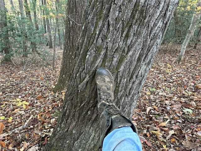 00 Balls Mill Road, North Wilkesboro, NC 28659