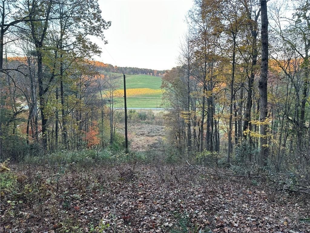 00 Balls Mill Road, North Wilkesboro, NC 28659