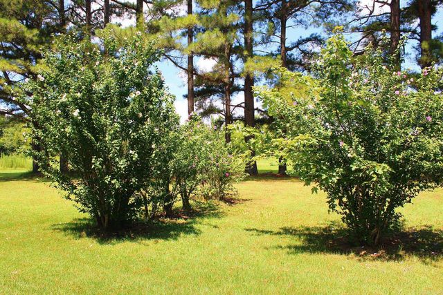 505 Highway 49 Highway, Rector, AR 72461