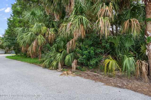0 River Point Drive, Weeki Wachee, FL 34607