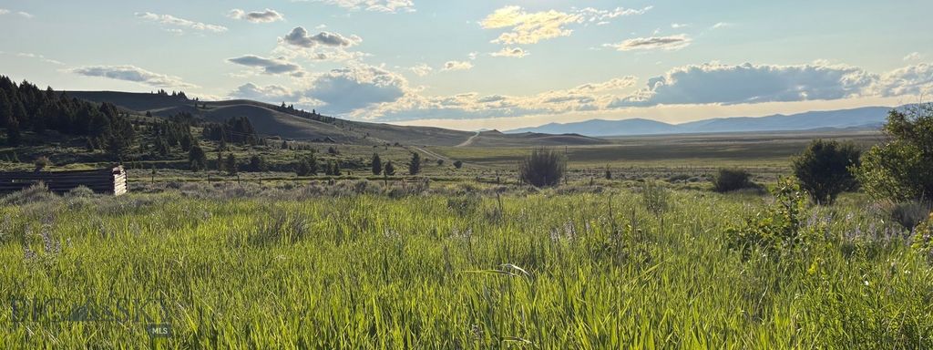 TBD South Valley Road, Dell, MT 59724 photo 3