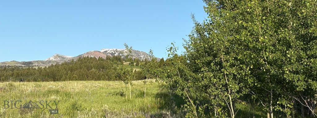 TBD South Valley Road, Dell, MT 59724 photo 5