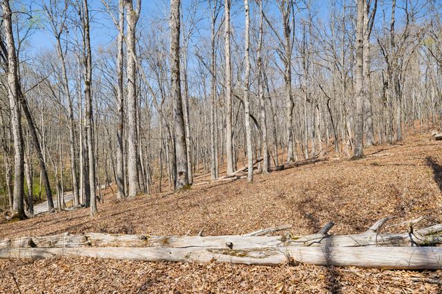 1300 Old Sugar Limb Rd, Loudon, TN 37774