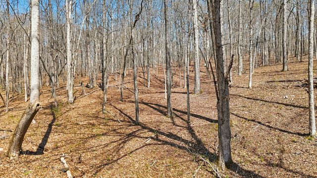 1300 Old Sugar Limb Rd, Loudon, TN 37774