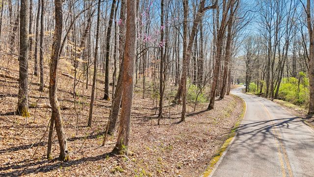 1300 Old Sugar Limb Rd, Loudon, TN 37774