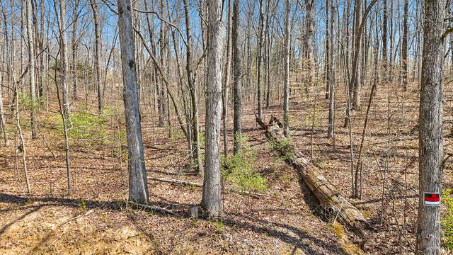 1300 Old Sugar Limb Rd, Loudon, TN 37774