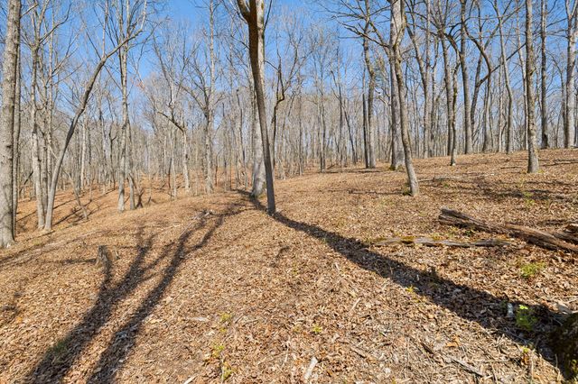 1300 Old Sugar Limb Rd, Loudon, TN 37774