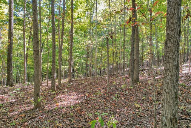 796 Daisy Cir, Cumberland Furnace, TN 37051
