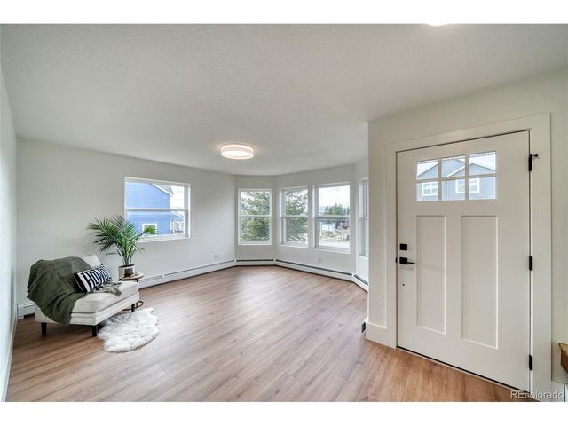 172 Brooklyn Cir, Leadville, CO 80461
