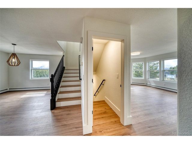 172 Brooklyn Cir, Leadville, CO 80461