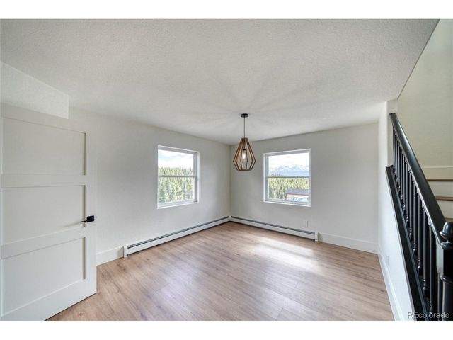 172 Brooklyn Cir, Leadville, CO 80461