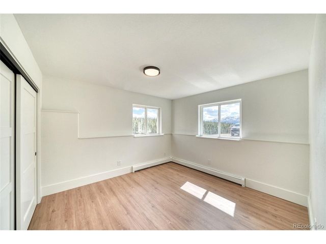 172 Brooklyn Cir, Leadville, CO 80461