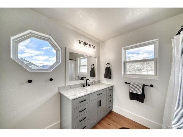172 Brooklyn Cir, Leadville, CO 80461