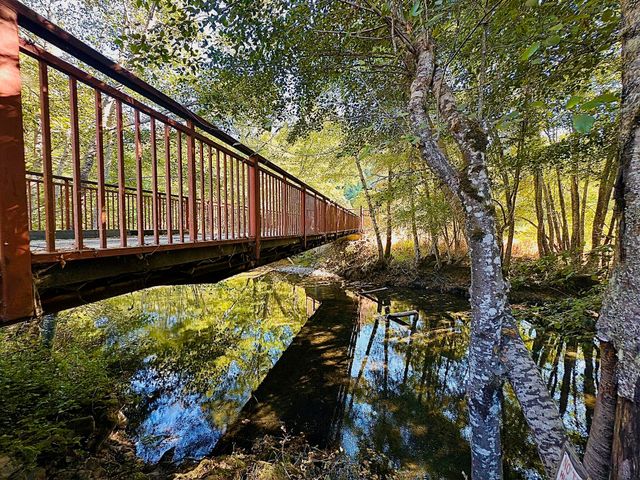 220 Wilder Ridge Road, Honeydew, CA 95545