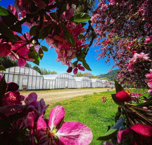 220 Wilder Ridge Road, Honeydew, CA 95545