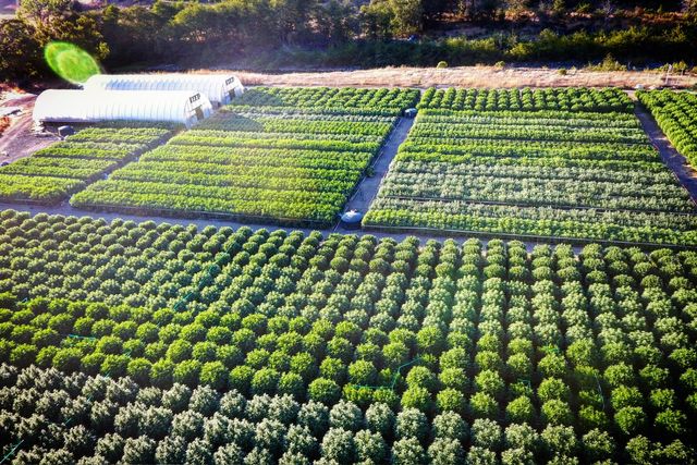 220 Wilder Ridge Road, Honeydew, CA 95545