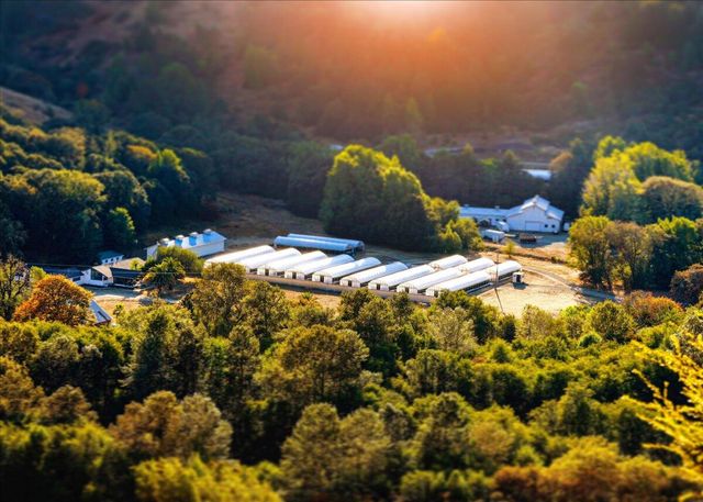 220 Wilder Ridge Road, Honeydew, CA 95545