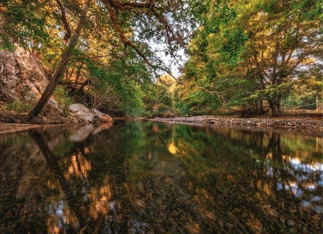 220 Wilder Ridge Road, Honeydew, CA 95545