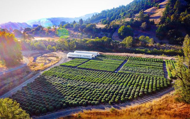 220 Wilder Ridge Road, Honeydew, CA 95545