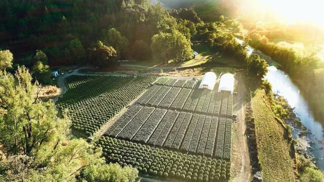 220 Wilder Ridge Road, Honeydew, CA 95545