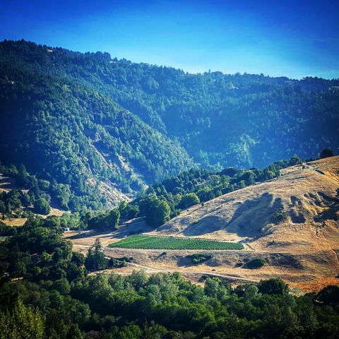 220 Wilder Ridge Road, Honeydew, CA 95545