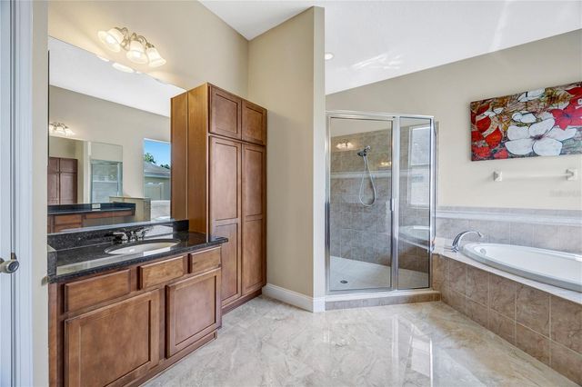 27438 SORA BOULEVARD, Wesley Chapel, FL 33544
