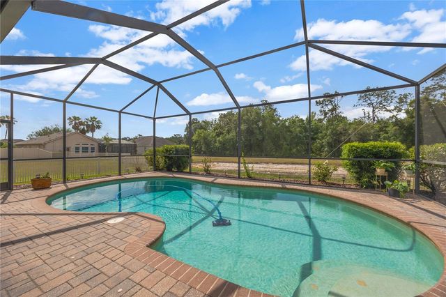 27438 SORA BOULEVARD, Wesley Chapel, FL 33544