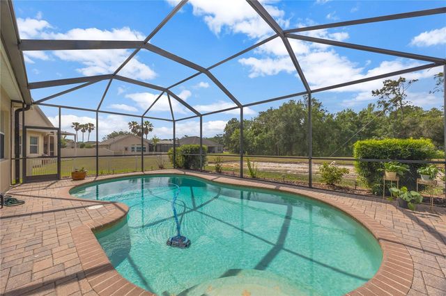 27438 SORA BOULEVARD, Wesley Chapel, FL 33544