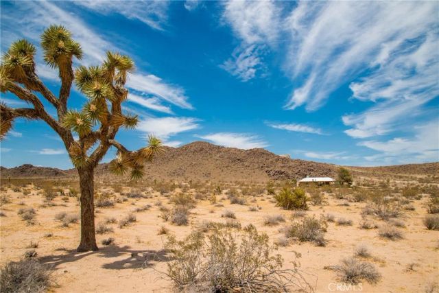 63525 Moonlight Mesa, Joshua Tree, CA 92252