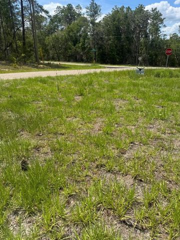 11183 N VESTA POINT, Citrus Springs, FL 34434