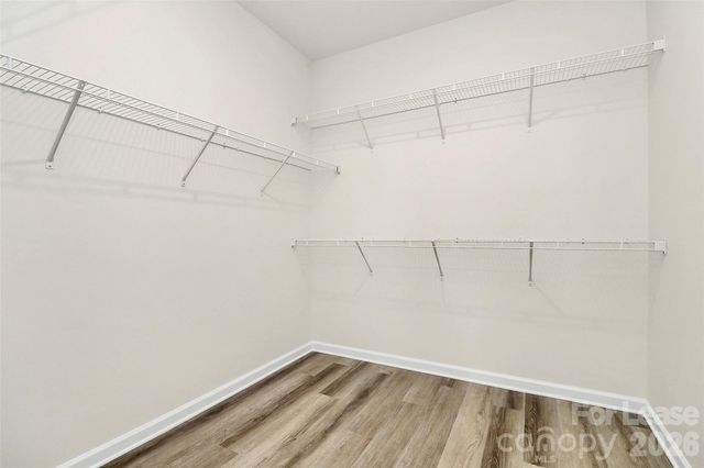 1111 Blessing Orchid Alley, Charlotte, NC 28227