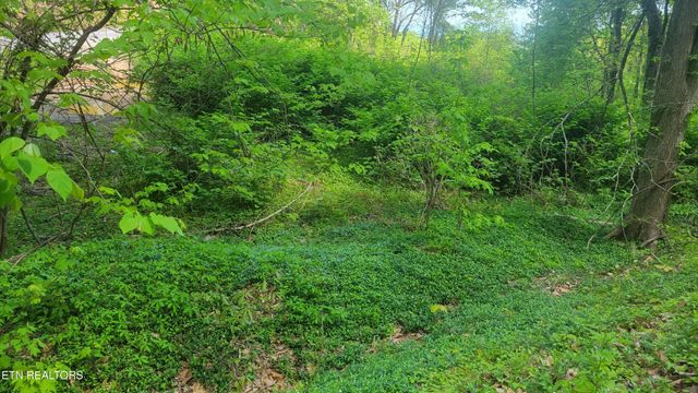 0 Arbon Drive, Gatlinburg, TN 37738