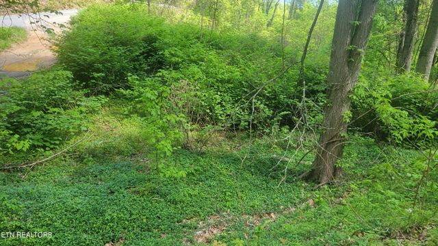0 Arbon Drive, Gatlinburg, TN 37738
