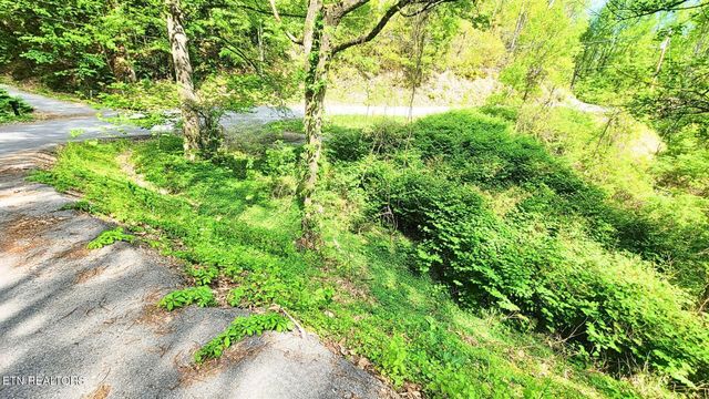 0 Arbon Drive, Gatlinburg, TN 37738