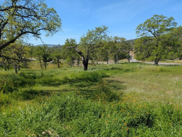 43243 Long Hollow Drive, Coarsegold, CA 93614