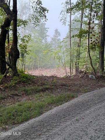 336 Dickinson Hill Road, Bolton, NY 12824