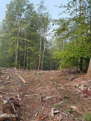 336 Dickinson Hill Road, Bolton, NY 12824