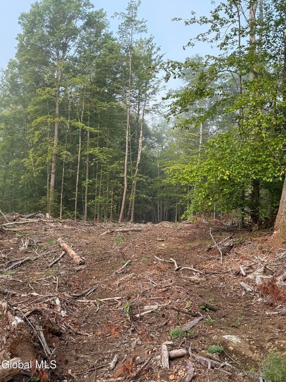 336 Dickinson Hill Road, Bolton, NY 12824