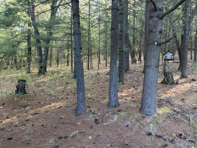 N8962 State Road 162, Mindoro, WI 54644