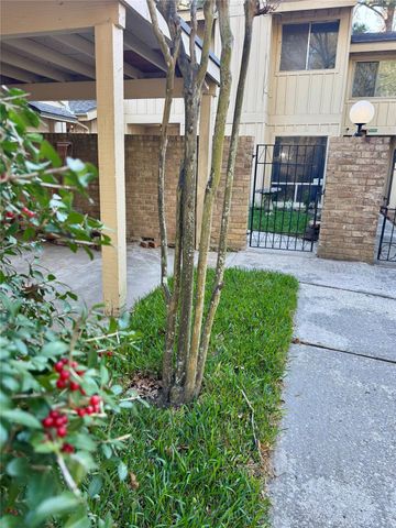 2329 W Settlers Way, The Woodlands, TX 77380