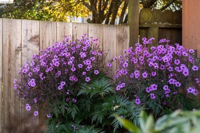 230 Ashton Ave, San Francisco, CA 94112