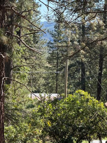645 Rigby Ln, Applegate, CA 95703